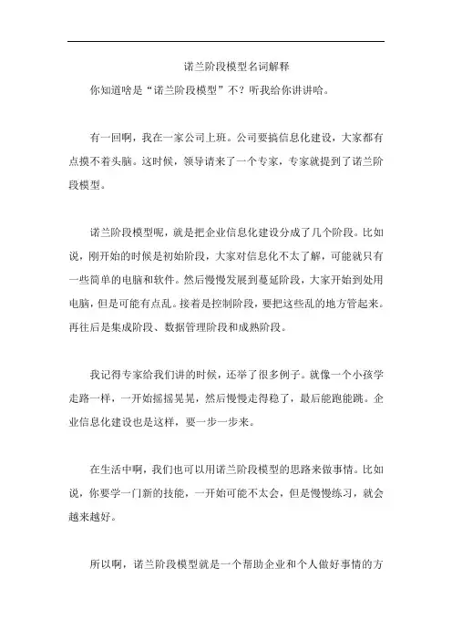 诺兰阶段模型名词解释