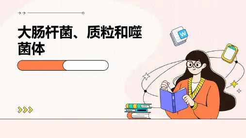 大肠杆菌、质粒和噬菌体