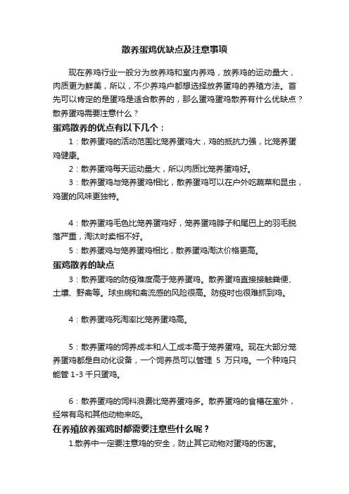 散养蛋鸡优缺点及注意事项