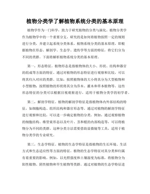 植物分类学了解植物系统分类的基本原理