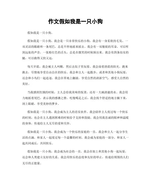 作文假如我是一只小狗