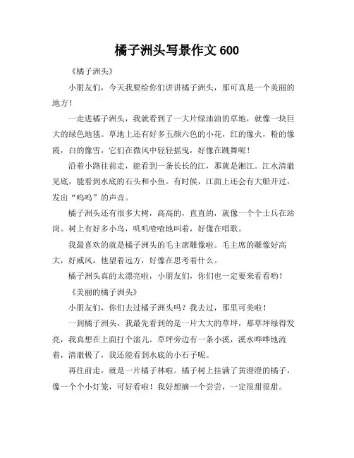 橘子洲头写景作文600