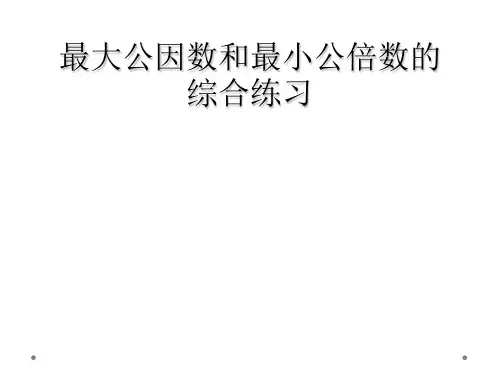 最大公因数和最小公倍数的综合练习