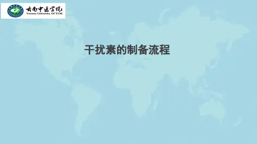 干扰素制备的工艺流程