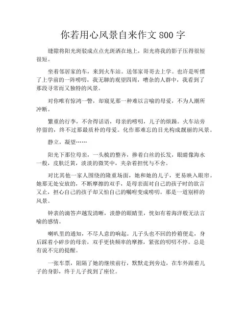 中小学优选作文之你若用心风景自来作文800字