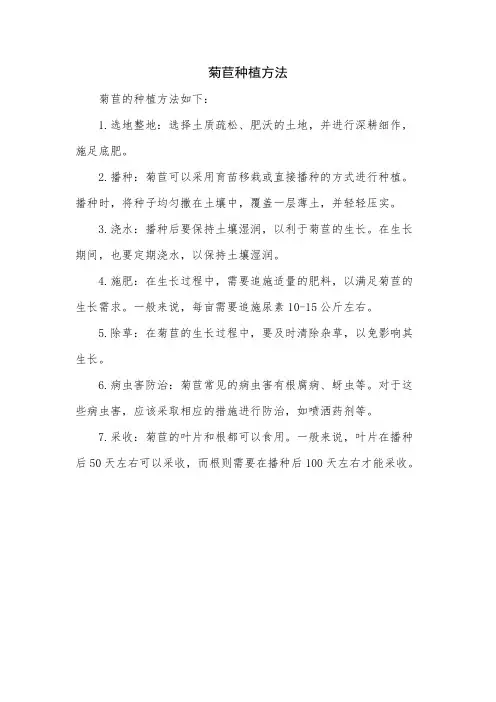 菊苣种植方法