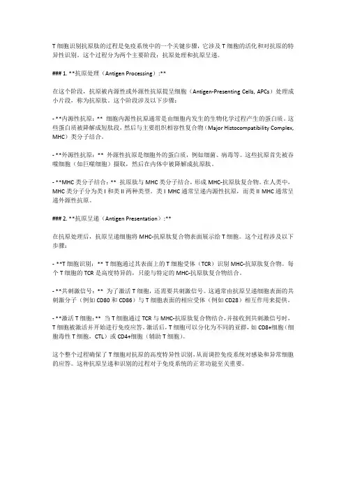 t细胞识别抗原肽过程