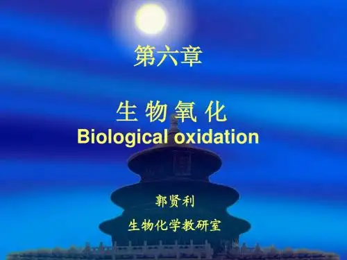第六章   生物氧化