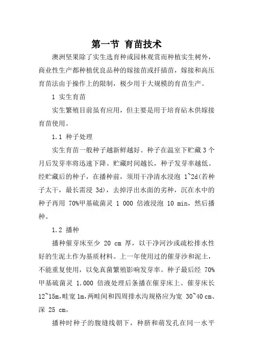 澳洲坚果育苗技术