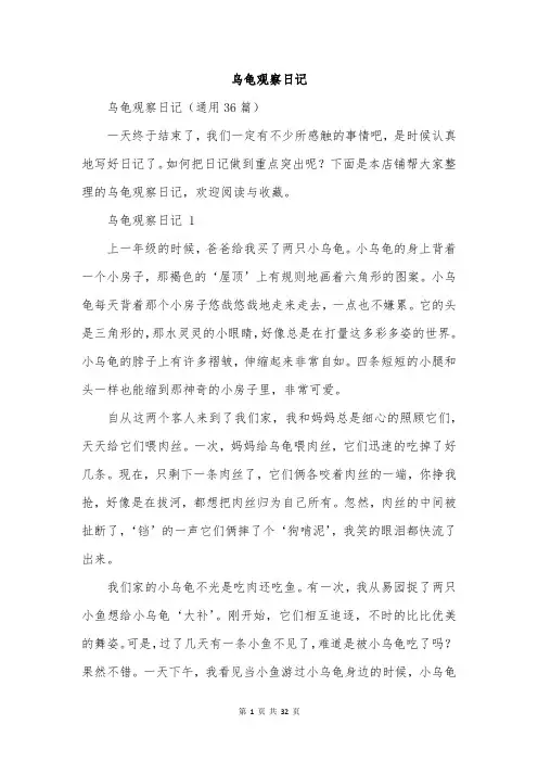 乌龟观察日记