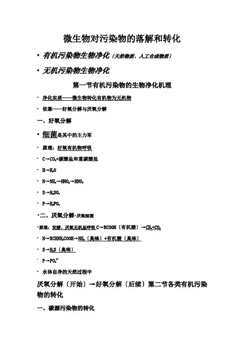 微生物对污染物的降解和转化