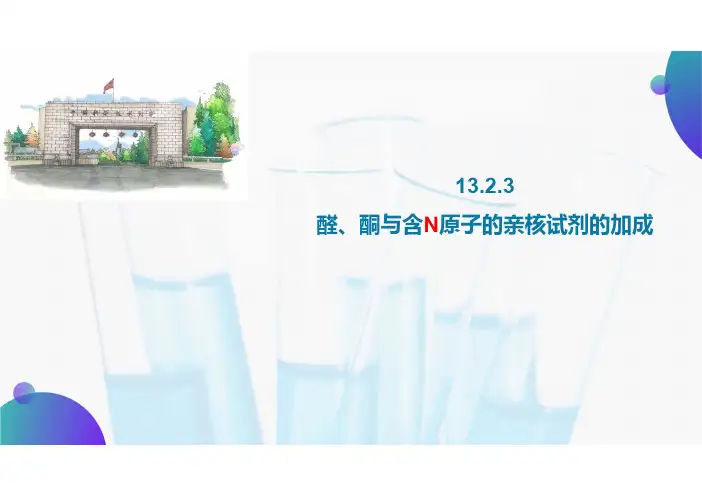 13.2.3 醛、酮与含N原子的亲核试剂的加成-1