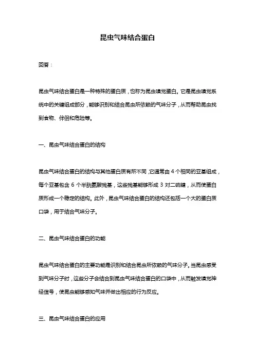 昆虫气味结合蛋白