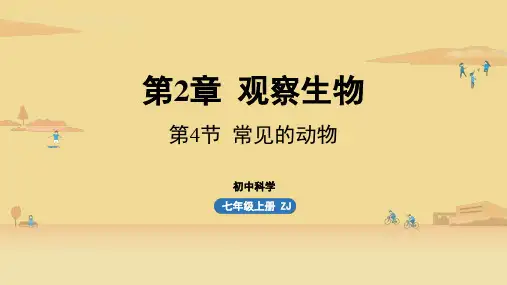 第2章观察生物第4节常见的动物-2024-2025学年初中科学七年级上册(浙教版)上课课件