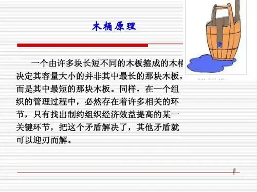 第13章控制与控制过程