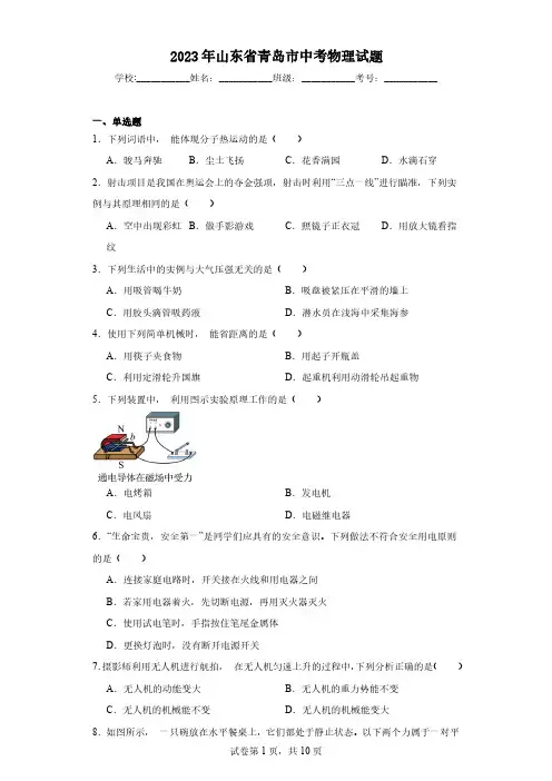 2023年山东省青岛市中考物理试题(含解析)