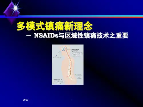 多模式镇痛新理念ppt课件