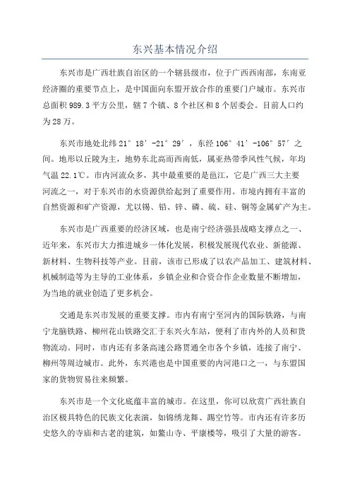 东兴基本情况介绍