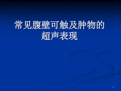 腹壁包块PPT课件