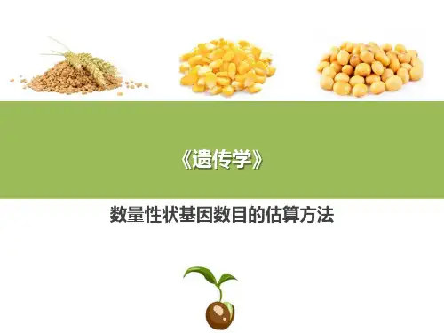 数量性状的遗传—数量性状遗传的特征(普通遗传学课件)