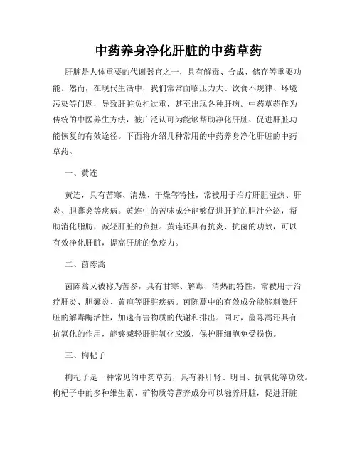 中药养身净化肝脏的中药草药