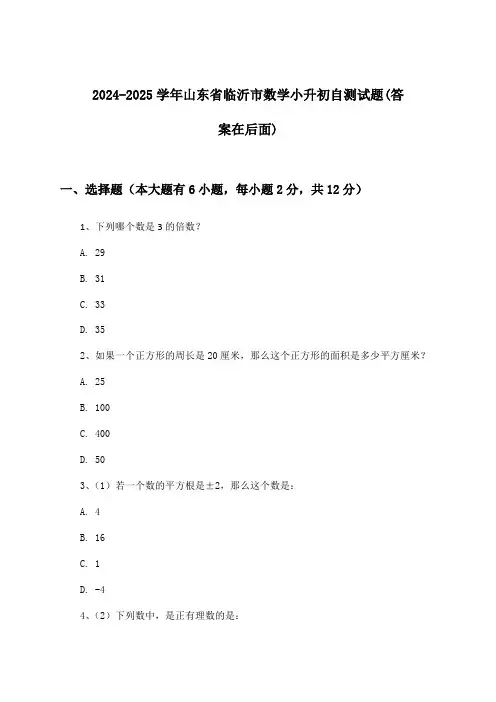 2024-2025学年山东省临沂市小升初数学试题与参考答案