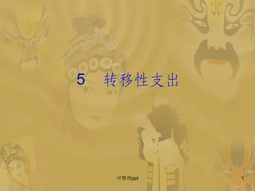 《转移性支出》PPT课件