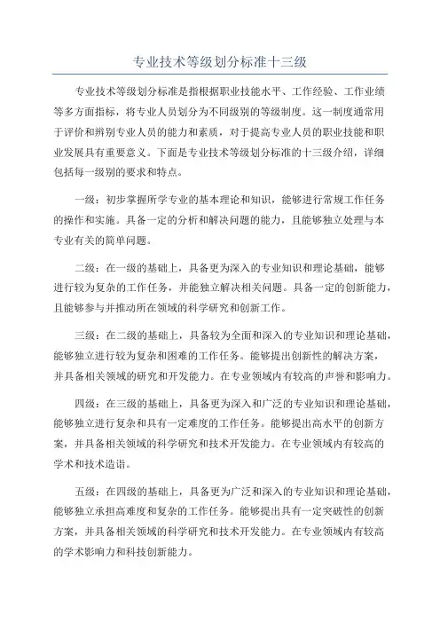 专业技术等级划分标准十三级