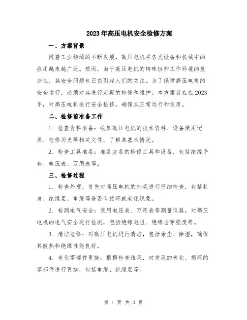 2023年高压电机安全检修方案