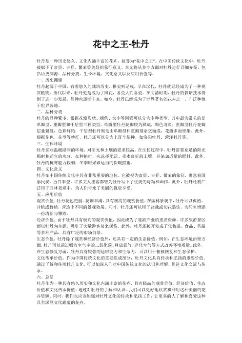 花中之王-牡丹