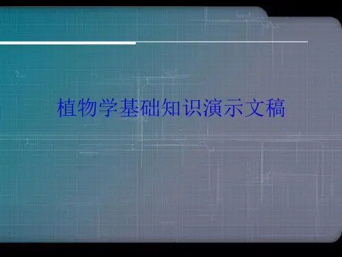 植物学基础知识演示文稿