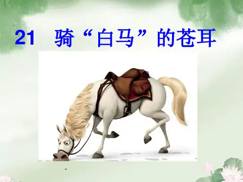 骑“白马”的苍耳-PPT课件