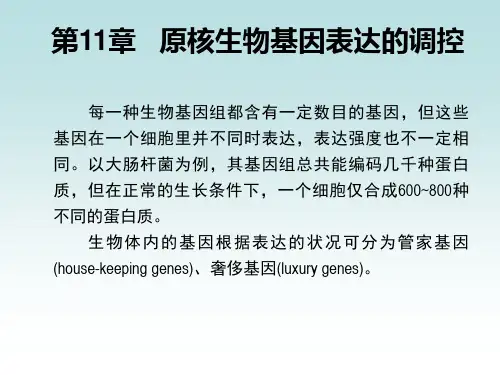 原核生物基因表达