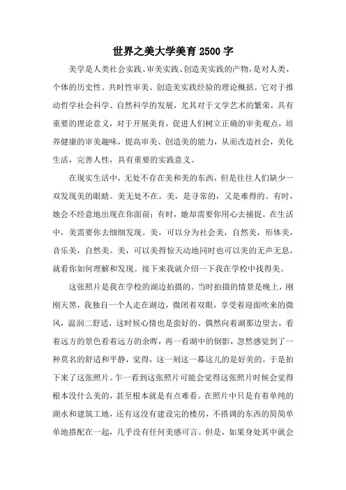 世界之美大学美育2500字