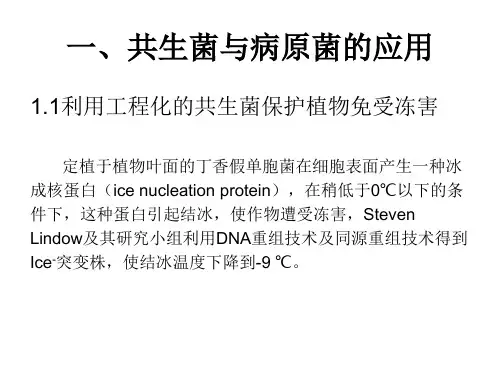 植物与微生物的相互作用