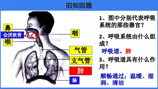 发生在肺内的气体交换ppt课件