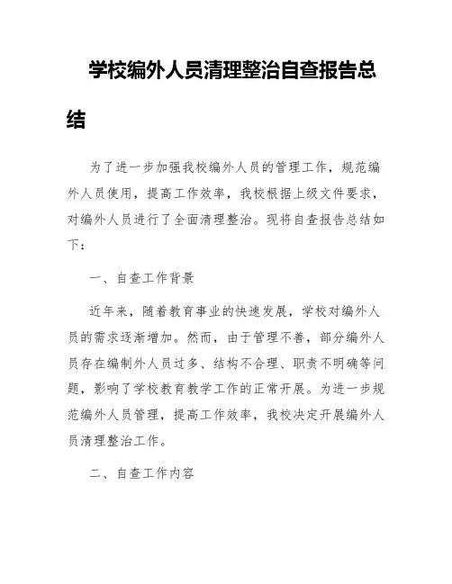 学校编外人员清理整治自查报告总结