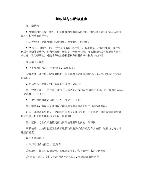 组织学与胚胎学重点