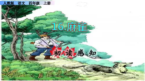 《麻雀》课件PPT(完美版)四年级上册语文部编