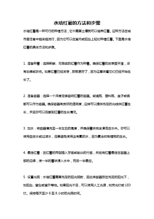 水培红薯的方法和步骤
