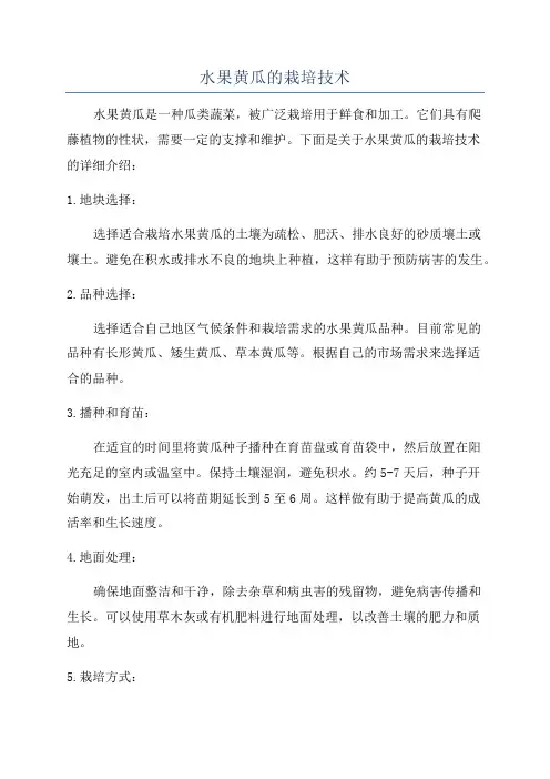 水果黄瓜的栽培技术