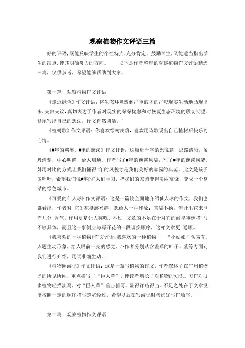 观察植物作文评语三篇
