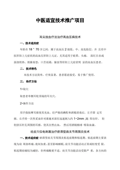 中医适宜技术推广项目