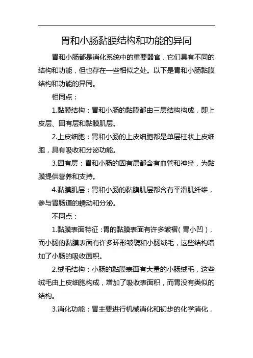 胃和小肠黏膜结构和功能的异同