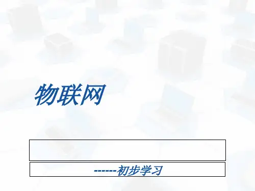 物联网初步学习(PPT 30张)