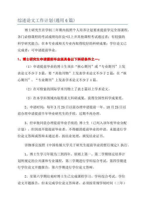 综述论文工作计划(通用6篇)