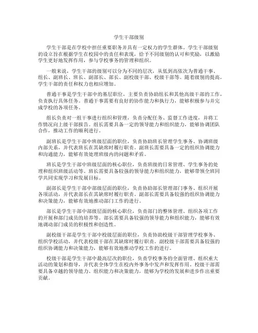 学生干部级别