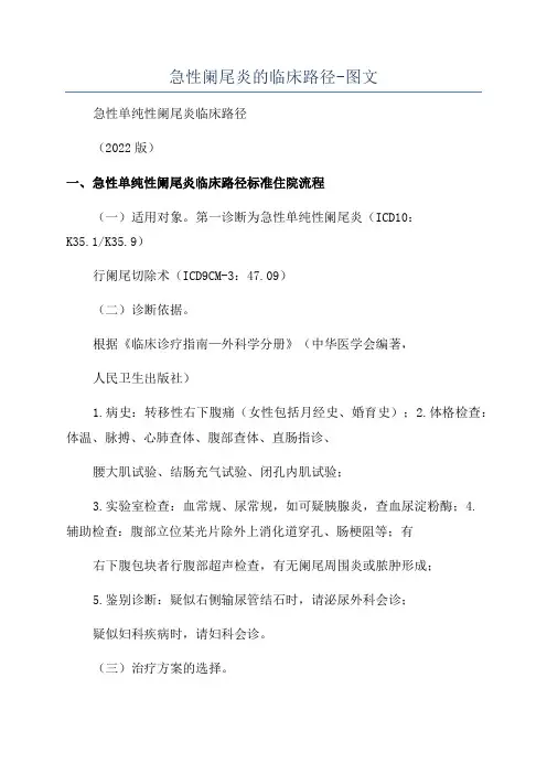 急性阑尾炎的临床路径-图文