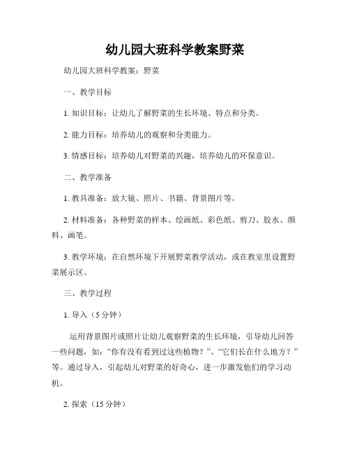幼儿园大班科学教案野菜
