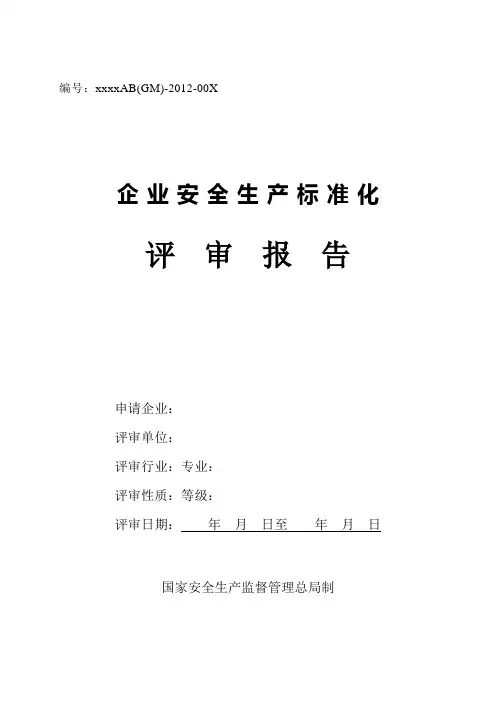 企业安全生产标准化评审报告